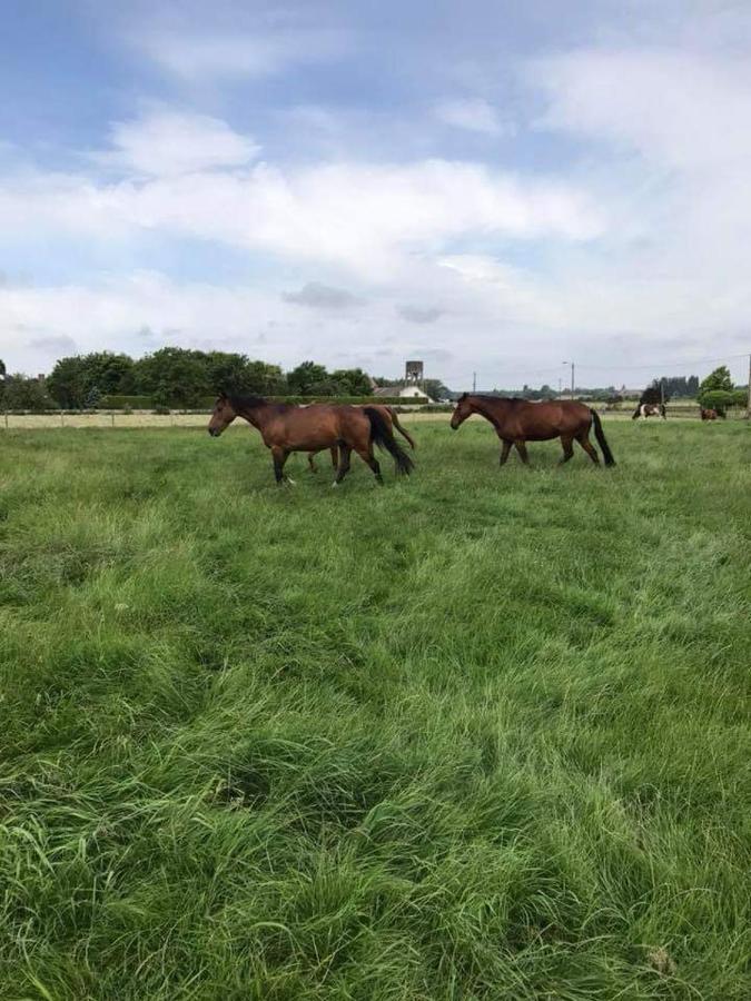 Ferme De La Forterie Verlinghem ภายนอก รูปภาพ