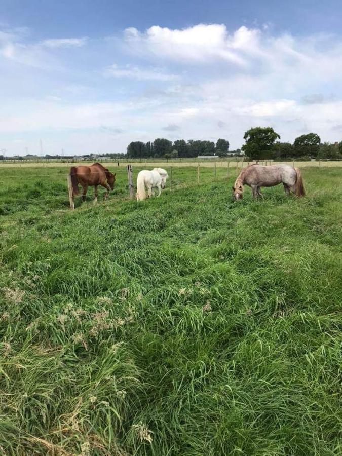 Ferme De La Forterie Verlinghem ภายนอก รูปภาพ