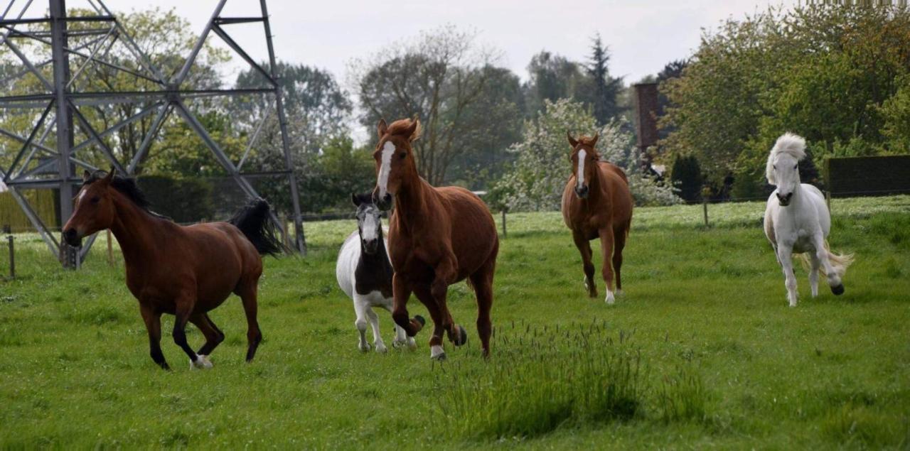 Ferme De La Forterie Verlinghem ภายนอก รูปภาพ